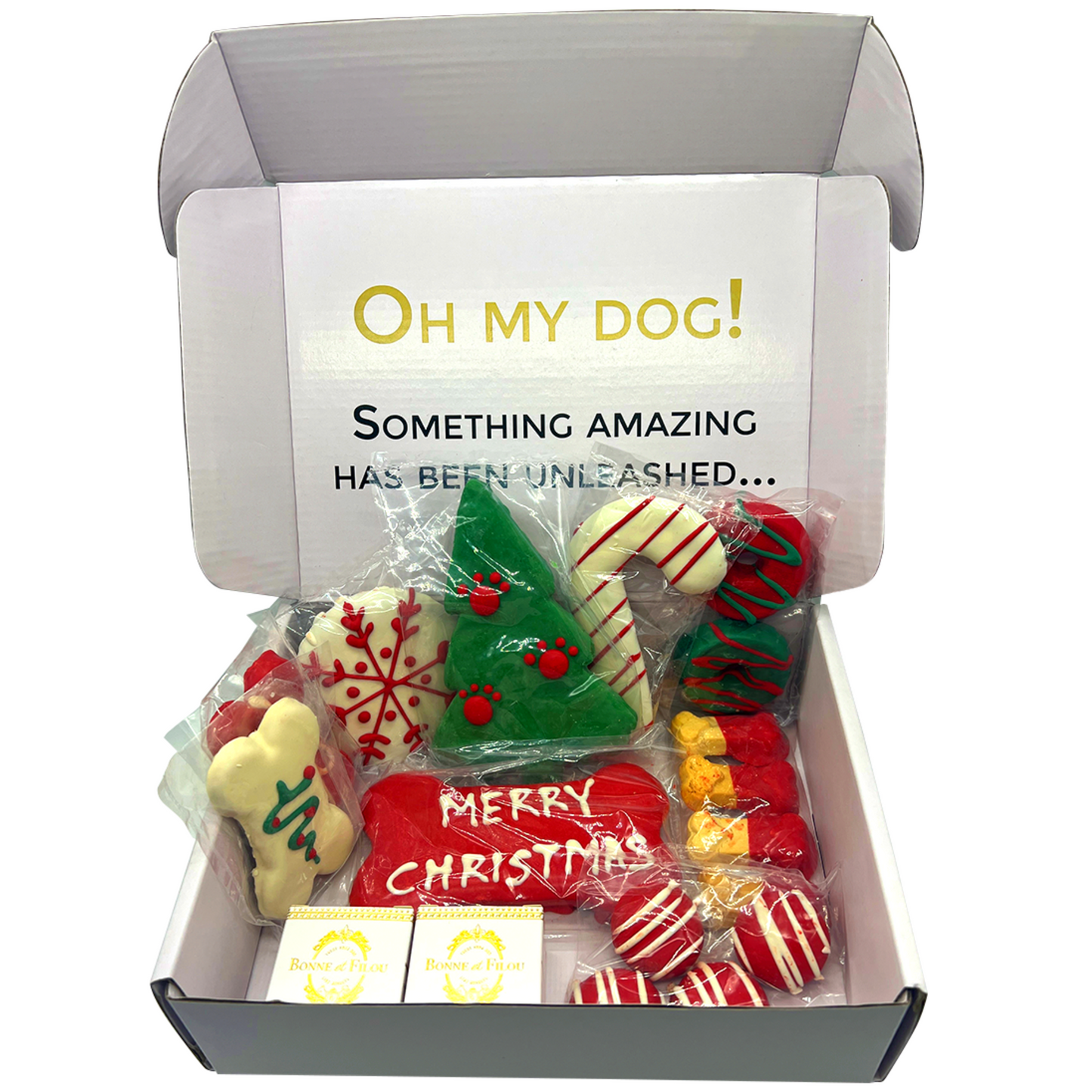 Merry Christmas Themed Dog Treats Gift Box