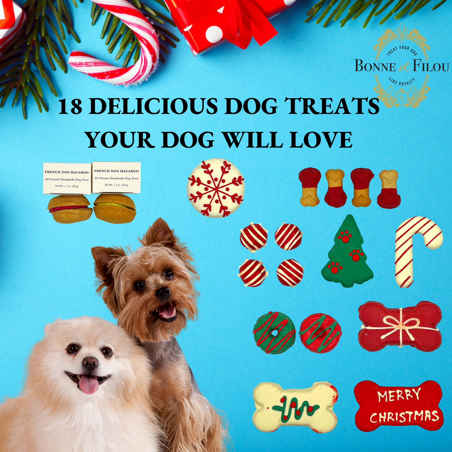 Merry Christmas Themed Dog Treats Gift Box